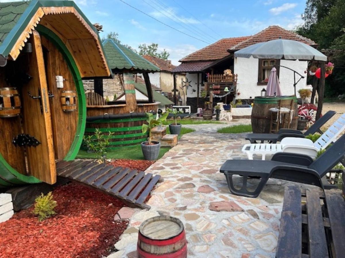 Vila Milica & Spa Aleksandra Dimitrovgrad Extérieur photo