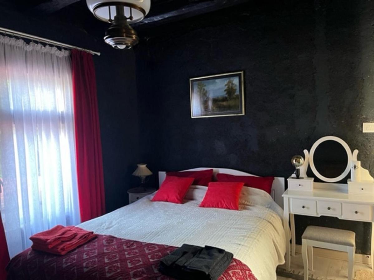 Vila Milica & Spa Aleksandra Dimitrovgrad Extérieur photo