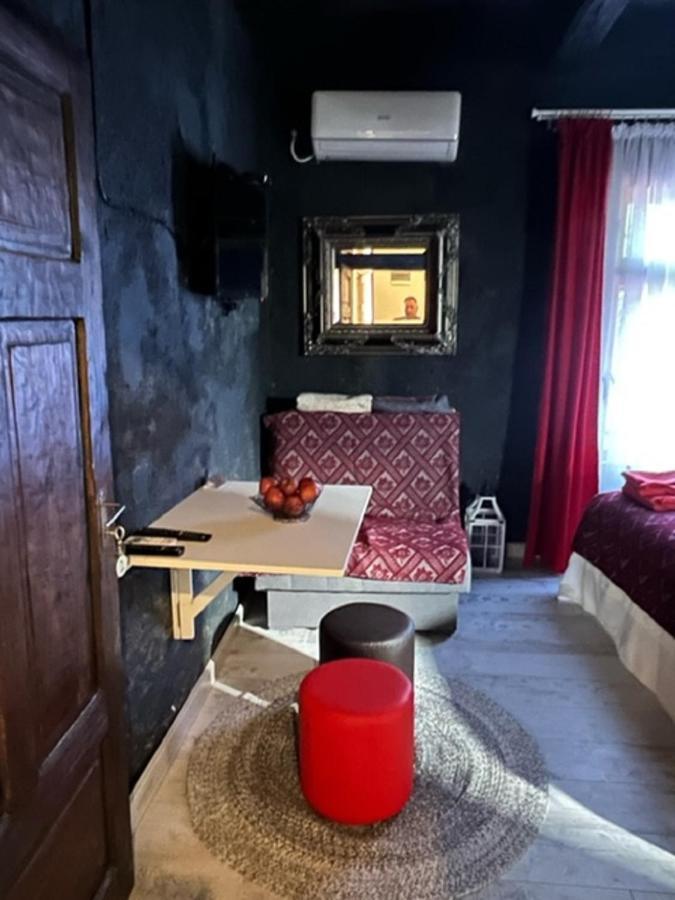 Vila Milica & Spa Aleksandra Dimitrovgrad Extérieur photo
