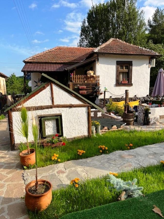 Vila Milica & Spa Aleksandra Dimitrovgrad Extérieur photo