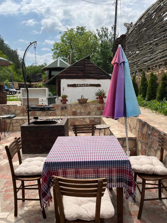 Vila Milica & Spa Aleksandra Dimitrovgrad Extérieur photo