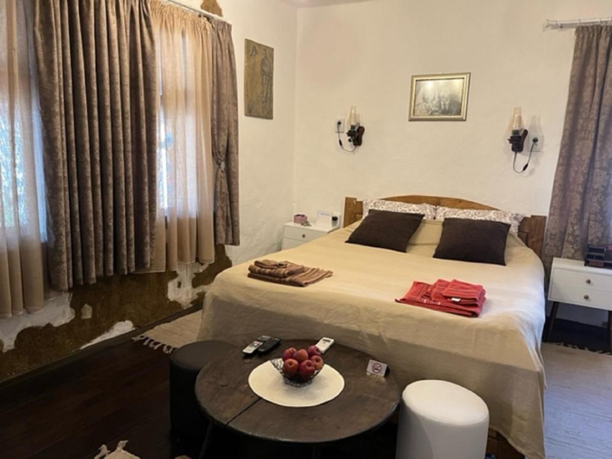Vila Milica & Spa Aleksandra Dimitrovgrad Extérieur photo