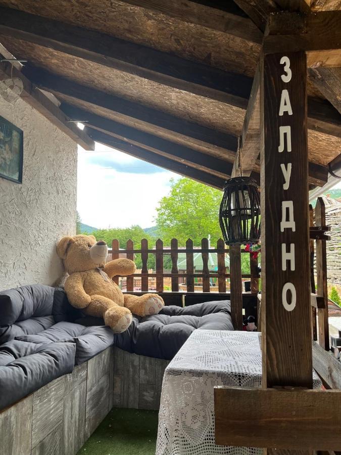 Vila Milica & Spa Aleksandra Dimitrovgrad Extérieur photo