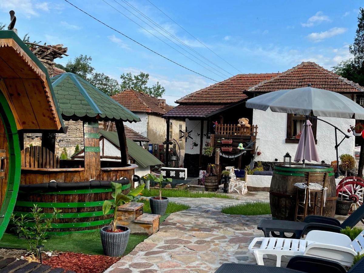 Vila Milica & Spa Aleksandra Dimitrovgrad Extérieur photo